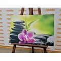 CANVAS PRINT MEDITATIVE ZEN COMPOSITION - PICTURES FENG SHUI - PICTURES