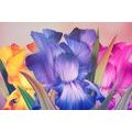 CANVAS PRINT FLORAL FANTASY - ABSTRACT PICTURES - PICTURES