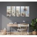 5-PIECE CANVAS PRINT ARCTIC COTTON FLOWERS - PICTURES FLOWERS - PICTURES