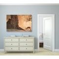 CANVAS PRINT AFRICAN ANTELOPE - PICTURES OF ANIMALS{% if product.category.pathNames[0] != product.category.name %} - PICTURES{% endif %}
