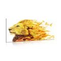 CANVAS PRINT FIERY LION - PICTURES OF ANIMALS{% if product.category.pathNames[0] != product.category.name %} - PICTURES{% endif %}