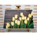 CANVAS PRINT CHARMING YELLOW TULIPS ON A WOODEN BACKGROUND - PICTURES FLOWERS{% if product.category.pathNames[0] != product.category.name %} - PICTURES{% endif %}