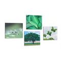 IMPRESSION SUR TOILE ENSEMBLE NATURE PLEINE DE VERDURE - ASSEMBLAGES DE PEINTURES SUR TOILE - IMPRESSION SUR TOILE