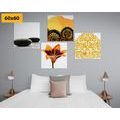 CANVAS PRINT SET FENG SHUI COMBINATION - SET OF PICTURES - PICTURES