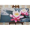 CANVAS PRINT LOTUS FLOWER IN A LAKE - PICTURES FLOWERS{% if product.category.pathNames[0] != product.category.name %} - PICTURES{% endif %}