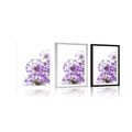 POSTER – FIORI VIOLA DI AGLIO IN FIORE - FIORI - POSTER
