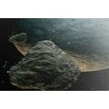 CANVAS PRINT METEORITES AROUND THE PLANET - PICTURES OF SPACE AND STARS - PICTURES