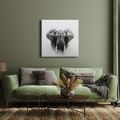 OBRAZ SLONÍ SÍLA A KLID - OBRAZY SLONI - OBRAZY
