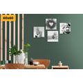 CANVAS PRINT SET DRINKS WITH SWEET INDULGENCE IN BLACK AND WHITE - SET OF PICTURES - PICTURES