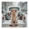 WEIHNACHTLICHES WANDBILD NIEDLICHER POSIERENDER HUND - WEIHNACHTS- UND WINTERBILDER - BILDER