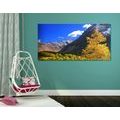 CANVAS PRINT BEAUTIFUL NATURE IN KAMCHATKA IN RUSSIA - PICTURES OF NATURE AND LANDSCAPE - PICTURES