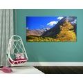 IMPRESSION SUR TOILE BELLE NATURE AU KAMTCHATKA EN RUSSIE - IMPRESSION SUR TOILE DE NATURE ET PAYSAGE - IMPRESSION SUR TOILE