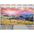 CANVAS PRINT HAYSTACKS IN THE CARPATHIAN MOUNTAINS - PICTURES OF NATURE AND LANDSCAPE - PICTURES