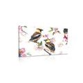 CANVAS PRINT BIRDS ON A TREE BRANCH - VINTAGE AND RETRO PICTURES - PICTURES