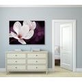 WANDBILD MAGNOLIENBLÜTE AUF ABSTRAKTEM HINTERGRUND - BILDER BLUMEN - BILDER