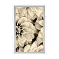 AFFICHE FLEURS DE DAHLIA DANS UN DESIGN SÉPIA - NOIR ET BLANC - AFFICHES