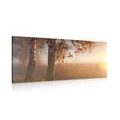 CANVAS PRINT MORNING SUNRISE OVER THE FOREST - PICTURES OF NATURE AND LANDSCAPE - PICTURES