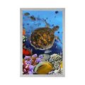 POSTER UNDERWATER WORLD - ANIMALS - POSTERS