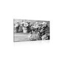 CANVAS PRINT ROMANTIC CARNATION IN A VINTAGE TOUCH IN BLACK AND WHITE - BLACK AND WHITE PICTURES - PICTURES