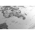 DECORATIVE PINBOARD DETAILED MAP OF THE WORLD IN BLACK AND WHITE - PICTURES ON CORK - PICTURES