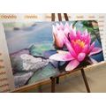 CANVAS PRINT PINK LOTUS FLOWER - PICTURES FLOWERS - PICTURES