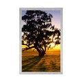 POSTER LONELY TREE AT SUNSET - NATURE - POSTERS