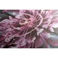 CANVAS PRINT MAGICAL PINK FLOWER - ABSTRACT PICTURES - PICTURES