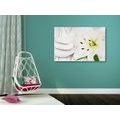 CANVAS PRINT LILY AND MASSAGE STONES IN A WHITE DESIGN - PICTURES FENG SHUI - PICTURES