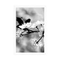 POSTER – FIORE DI CILIEGIO IN BIANCO E NERO - NERO E BIANCO - POSTER