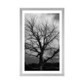 POSTER WITH MOUNT BLACK AND WHITE TREE ON THE MEADOW - BLACK AND WHITE - POSTERS