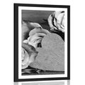 POSTER WITH MOUNT VALENTINE'S ROSES IN BLACK AND WHITE - BLACK AND WHITE - POSTERS