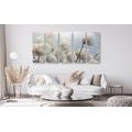 5-PIECE CANVAS PRINT ARCTIC COTTON FLOWERS - PICTURES FLOWERS - PICTURES