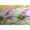 CANVAS PRINT GARDEN FLOWERS - PICTURES FLOWERS - PICTURES