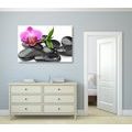 CANVAS PRINT MASSAGE WELLNESS STONES - PICTURES FENG SHUI - PICTURES