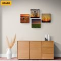 CANVAS PRINT SET ROMANTIC SUNSET ON A MEADOW - SET OF PICTURES - PICTURES