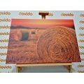 CANVAS PRINT HAY BALES - PICTURES OF NATURE AND LANDSCAPE - PICTURES