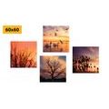 CANVAS PRINT SET CHARMING NATURE - SET OF PICTURES - PICTURES