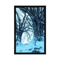 POSTER WINTEREINBRUCH - NATUR - POSTER