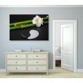 CANVAS PRINT SPA STILL LIFE AND YIN AND YANG STONES - PICTURES FENG SHUI - PICTURES