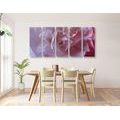 5-PIECE CANVAS PRINT CARNATION PETALS - PICTURES FLOWERS - PICTURES