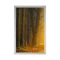 POSTER WEG IM WALD - NATUR - POSTER