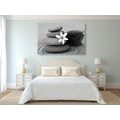 CANVAS PRINT FLOWER AND STONES IN THE SAND IN BLACK AND WHITE - BLACK AND WHITE PICTURES - PICTURES