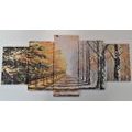 IMPRESSION SUR TOILE EN 5 PARTIES ALLÉE D'ARBRES D'AUTOMNE - IMPRESSION SUR TOILE DE NATURE ET PAYSAGE - IMPRESSION SUR TOILE