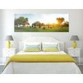 CANVAS PRINT SUNNY GARDEN FULL OF GREENERY - PICTURES OF NATURE AND LANDSCAPE{% if product.category.pathNames[0] != product.category.name %} - PICTURES{% endif %}