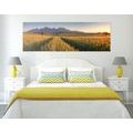 CANVAS PRINT SUNSET OVER A WHEAT FIELD - PICTURES OF NATURE AND LANDSCAPE - PICTURES