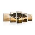 5-PIECE CANVAS PRINT ELEPHANT AT SUNRISE - PICTURES OF NATURE AND LANDSCAPE - PICTURES