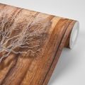 SELF ADHESIVE WALLPAPER TREE ON A WOODEN BASE - SELF-ADHESIVE WALLPAPERS - WALLPAPERS