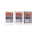 POSTER – BOSCHETTO DI BETULLE AL TRAMONTO - NATURA - POSTER