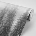 SELF ADHESIVE WALLPAPER BLACK AND WHITE WOLF IN A SNOWY LANDSCAPE - SELF-ADHESIVE WALLPAPERS - WALLPAPERS