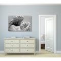 CANVAS PRINT SMALL ANGEL IN BLACK AND WHITE - BLACK AND WHITE PICTURES - PICTURES